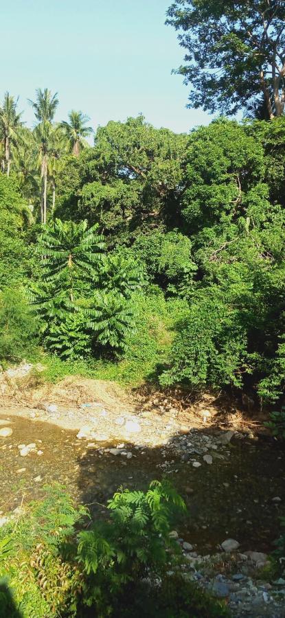 Riverside At Aninuan Accommodation And Food Puerto Galera Exteriér fotografie